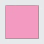 Bubble Gum
