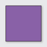 Aster